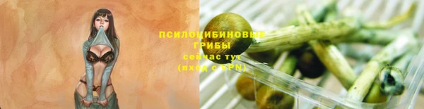СК Алзамай