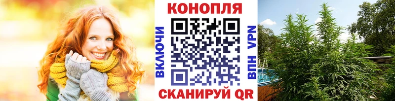 Бошки марихуана Amnesia  mega ссылка  Яблоновский 